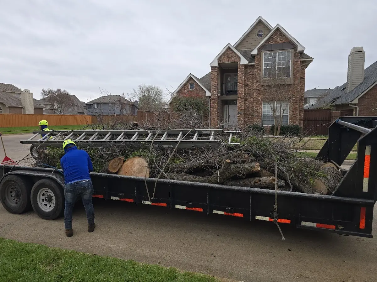 Expert Tree Removal with proper safety equipment in Caddo